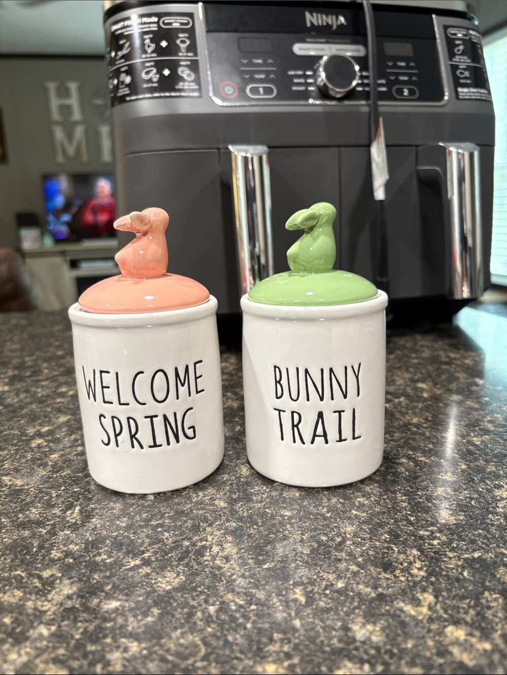 Ceramic Spring Bunny Canister Set — Peach & Green Lids